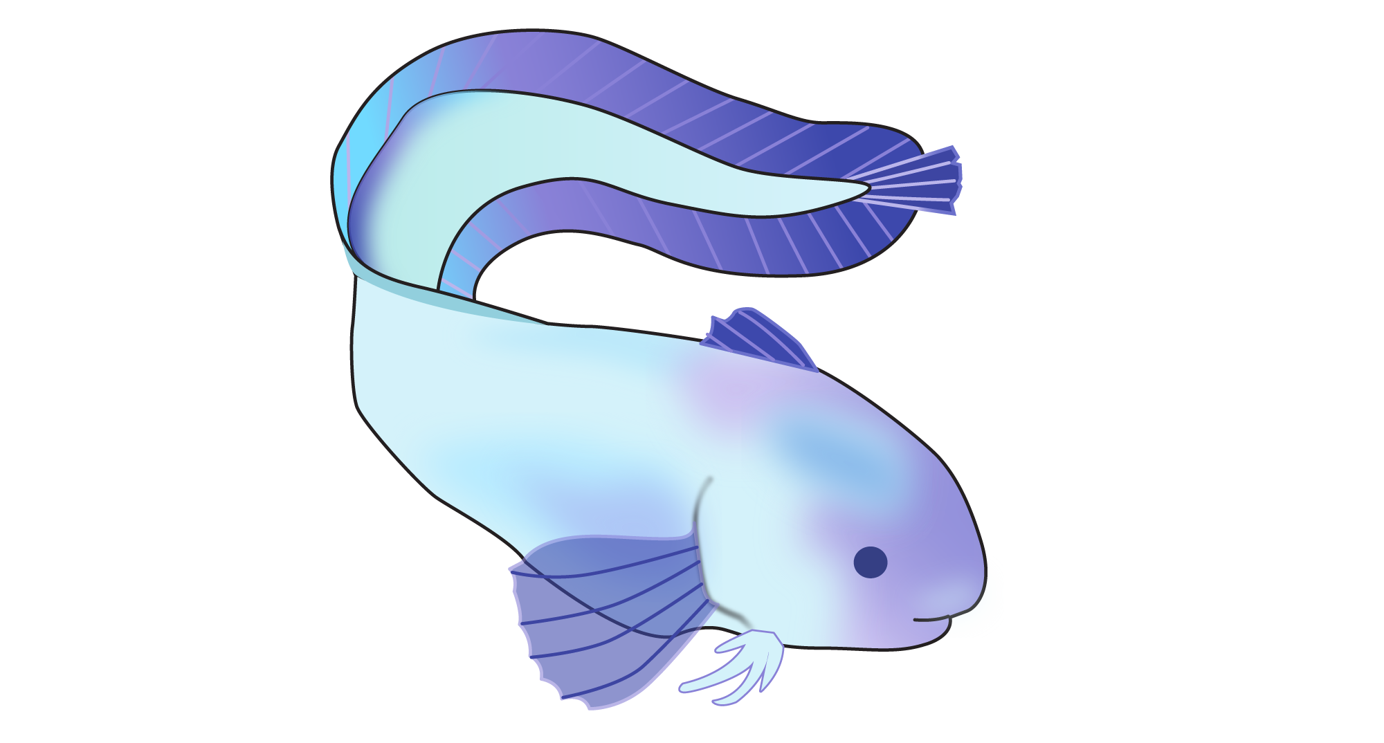 snailfish